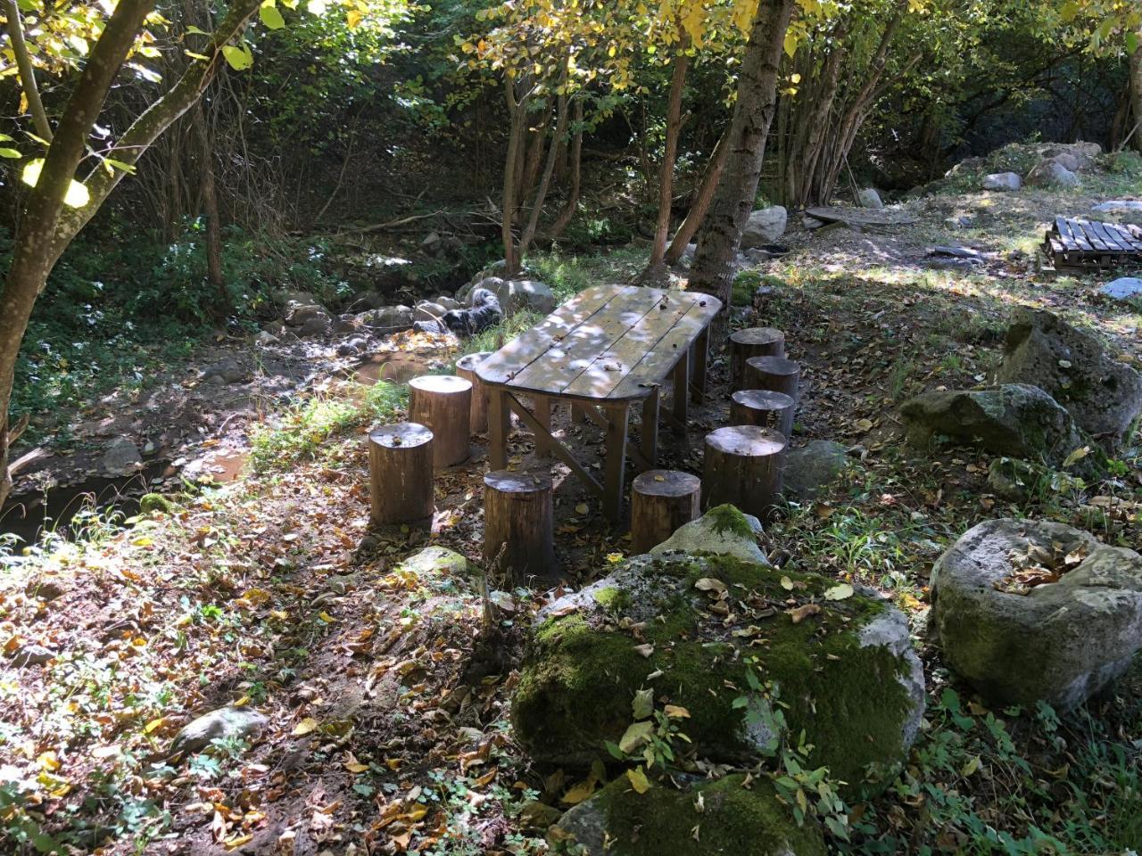 Vila Idila Crni Vrh 外观 照片
