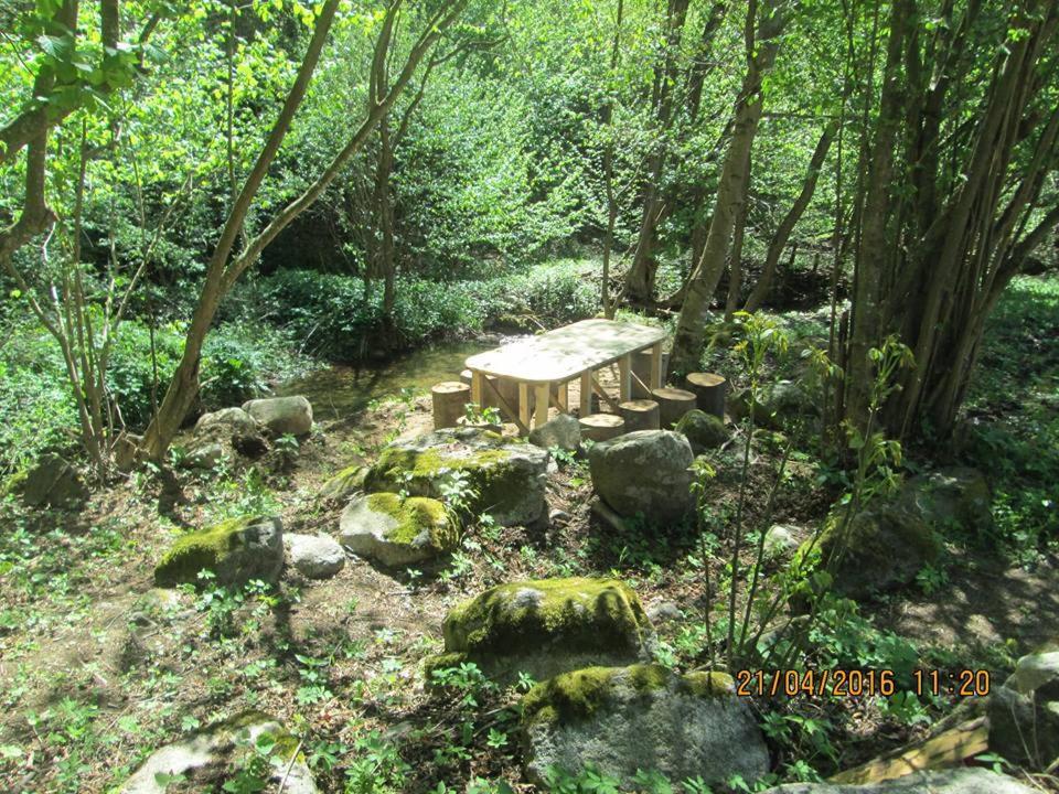 Vila Idila Crni Vrh 外观 照片